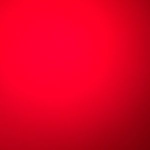 Meet your Posher, Terrence