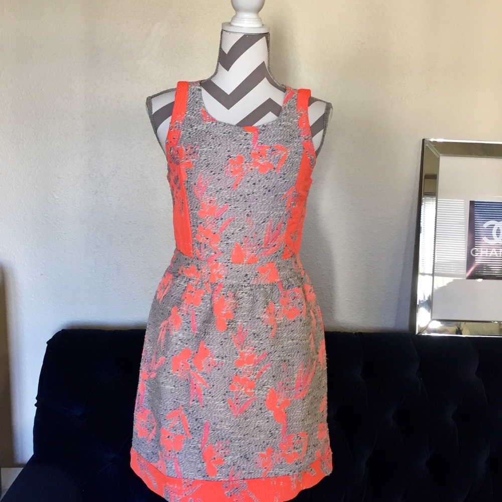 Ella Moss Designer Print Dress