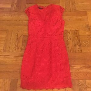 Red Lace Bebe Dress Red Lace Bebe Dress