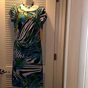 Ladies Dress Ladies Dress