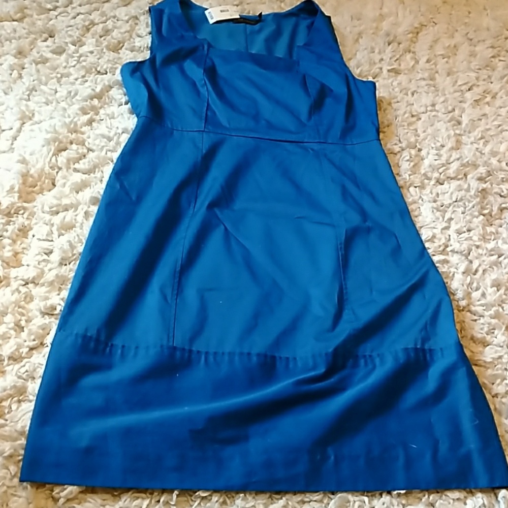 NWT the limited bright blue shift dress