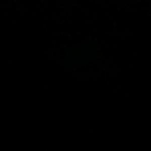 Meet your Posher, Tia