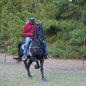 Meet your Posher, Donnell