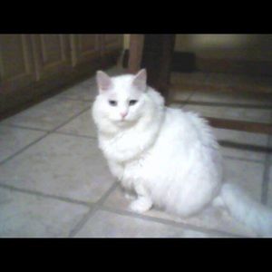 Meet your Posher, Bonnie