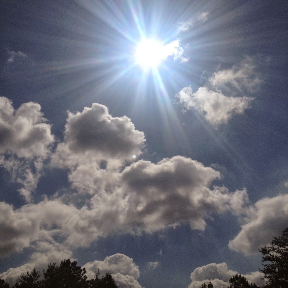 Meet your Posher, Caris