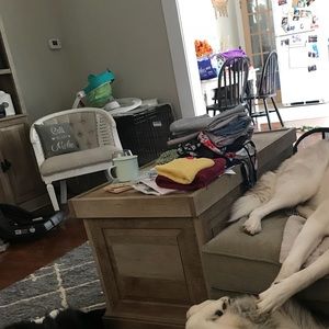 Meet your Posher, Nicholas