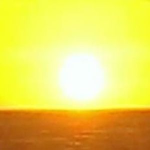 Meet your Posher, Shelly