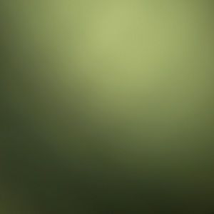 Meet your Posher, Benny