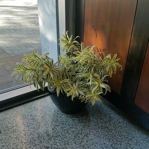 Meet your Posher, Corey