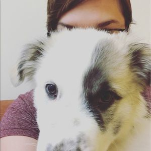 Meet your Posher, Meghan