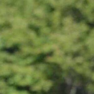 Meet your Posher, Corrine