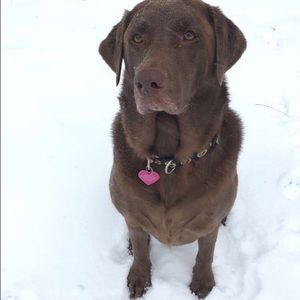 Meet your Posher, Julie