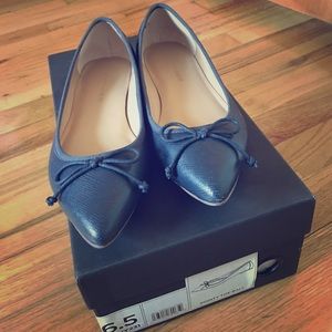 Banana Republic Navy Blue Pointy Toe Flats