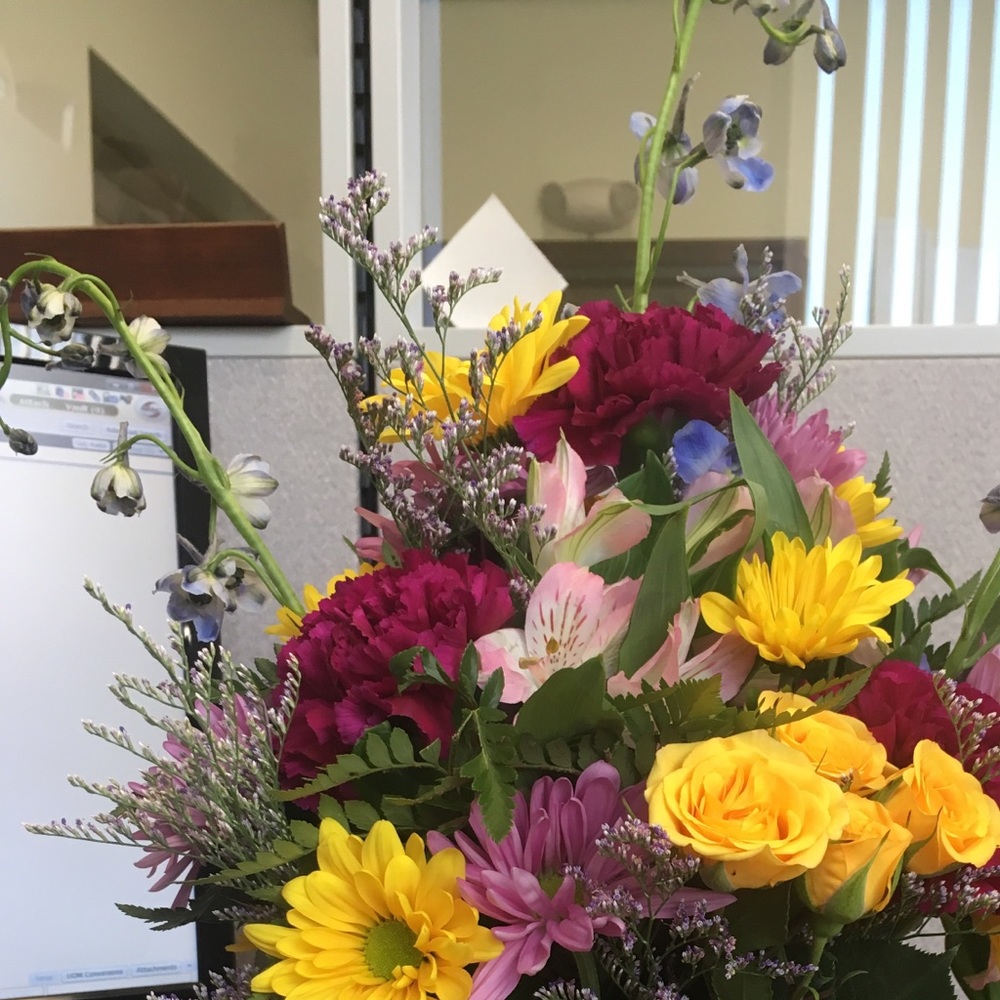 Meet your Posher, Lisa