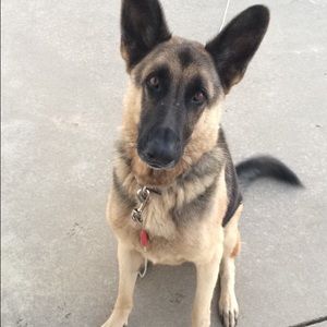 Meet your Posher, Becca