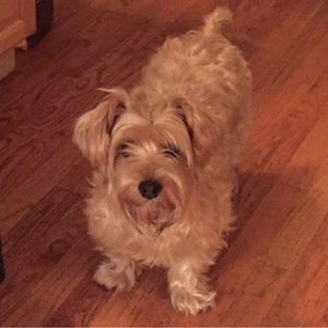 Meet your Posher, Ashleigh