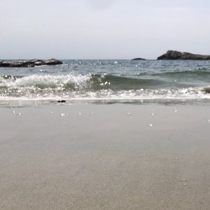 Meet your Posher, Kylee