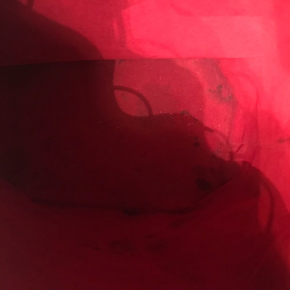 Louis Vuitton Epi Leather Drawstring - Picture 4 of 5