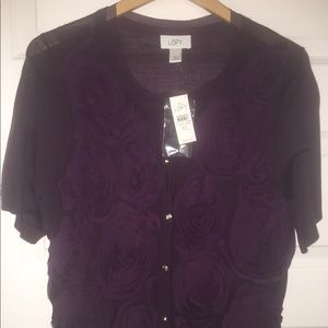 Ann Taylor Loft Cardigan Sweater