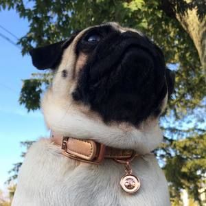 Meet your Posher, Marissa