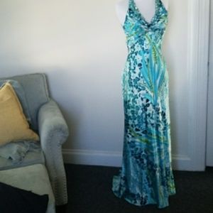 Prom/Home Coming Dress