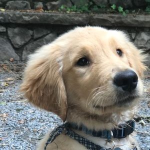 Meet your Posher, Naomi