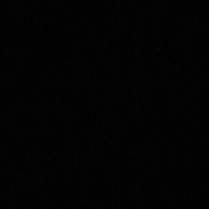 Meet your Posher, Tamia