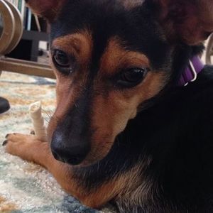 Meet your Posher, Keiko
