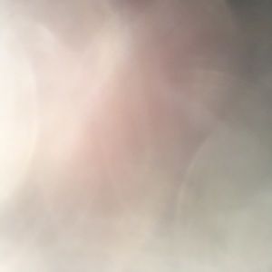 Meet your Posher, Brady