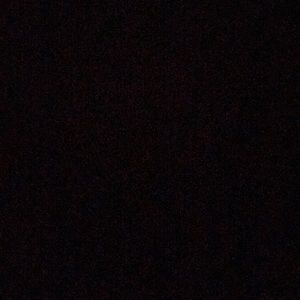 Meet your Posher, Donte