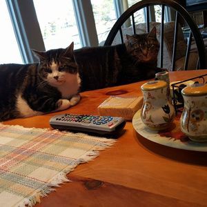 Meet your Posher, Judy