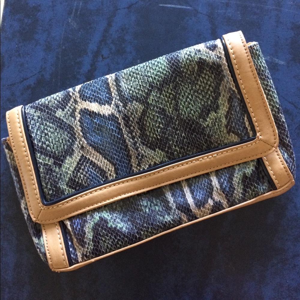 Snake Skin Print Clutch