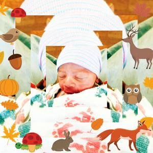 Meet your Posher, Marcellus