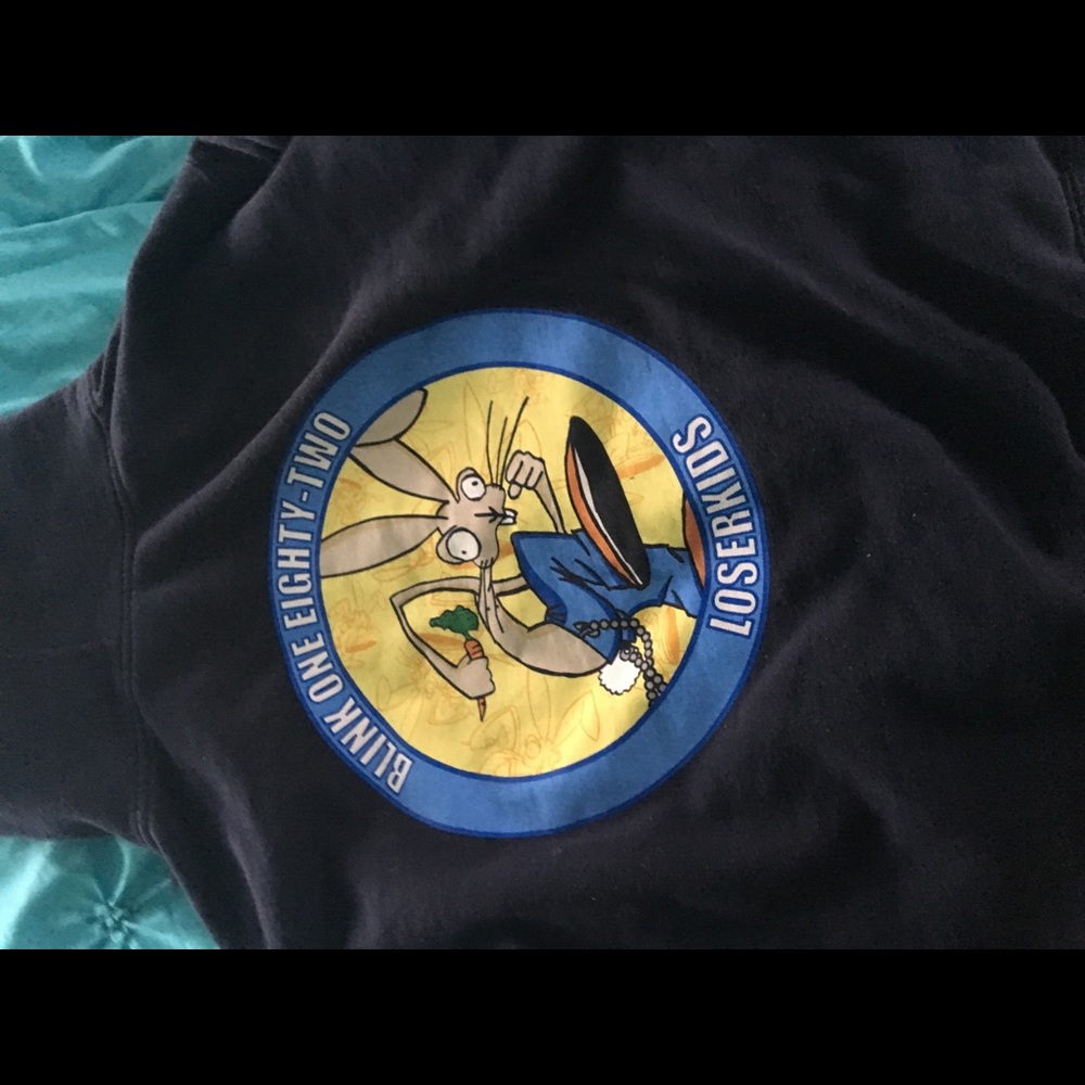 Blink 182 hoodie. Early 2000. Hot topic.