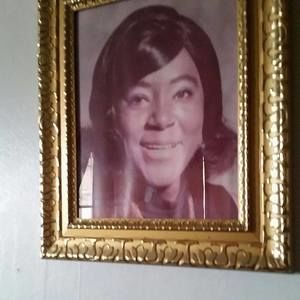 Meet your Posher, Maxine