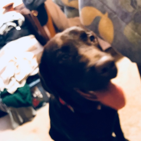 Meet your Posher, Daniel - Picture 1 of 1