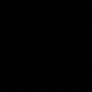 Meet your Posher, Adan