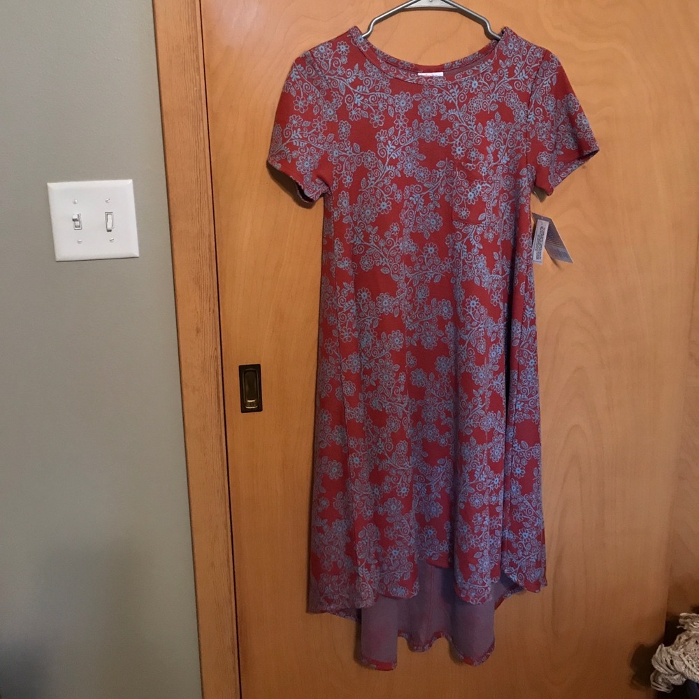 LuLaRoe Carly Dress