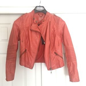 NWT Black Swan Moto Jacket