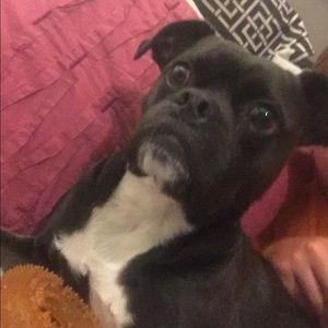 Meet your Posher, Ryan