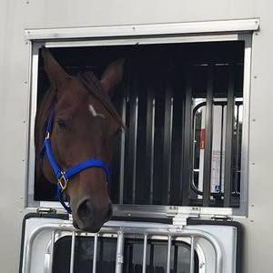 Meet your Posher, Melody