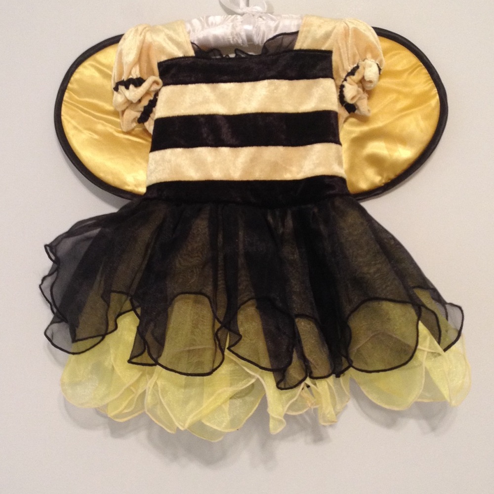 Bumble Bee Princess Costume.