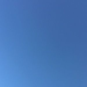 Meet your Posher, Lillian