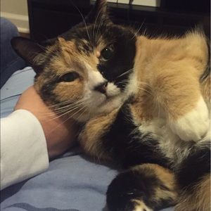 Meet your Posher, Annalyse