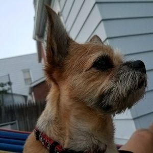 Meet your Posher, Ana