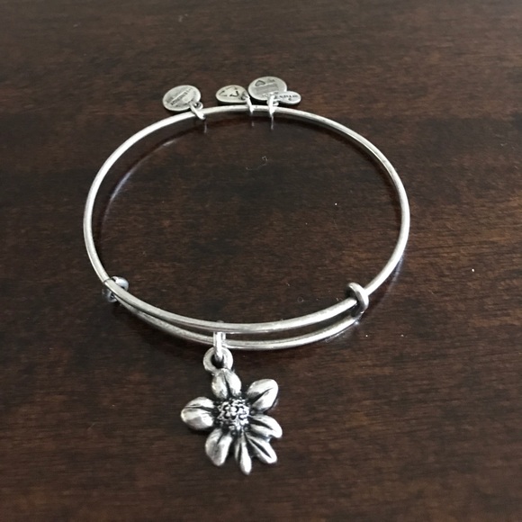 Alex and Ani Retired Apple Blossom Bracelet - Picture 1 of 1
