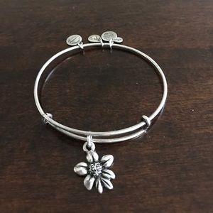 Alex and Ani Retired Apple Blossom Bracelet