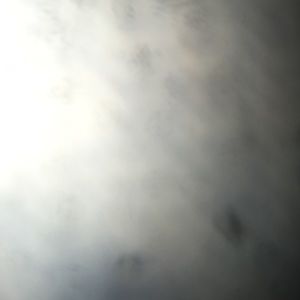 Meet your Posher, Cody