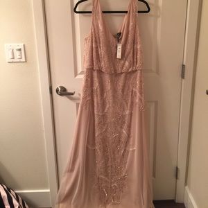 Blush Adrianna Papell Dress