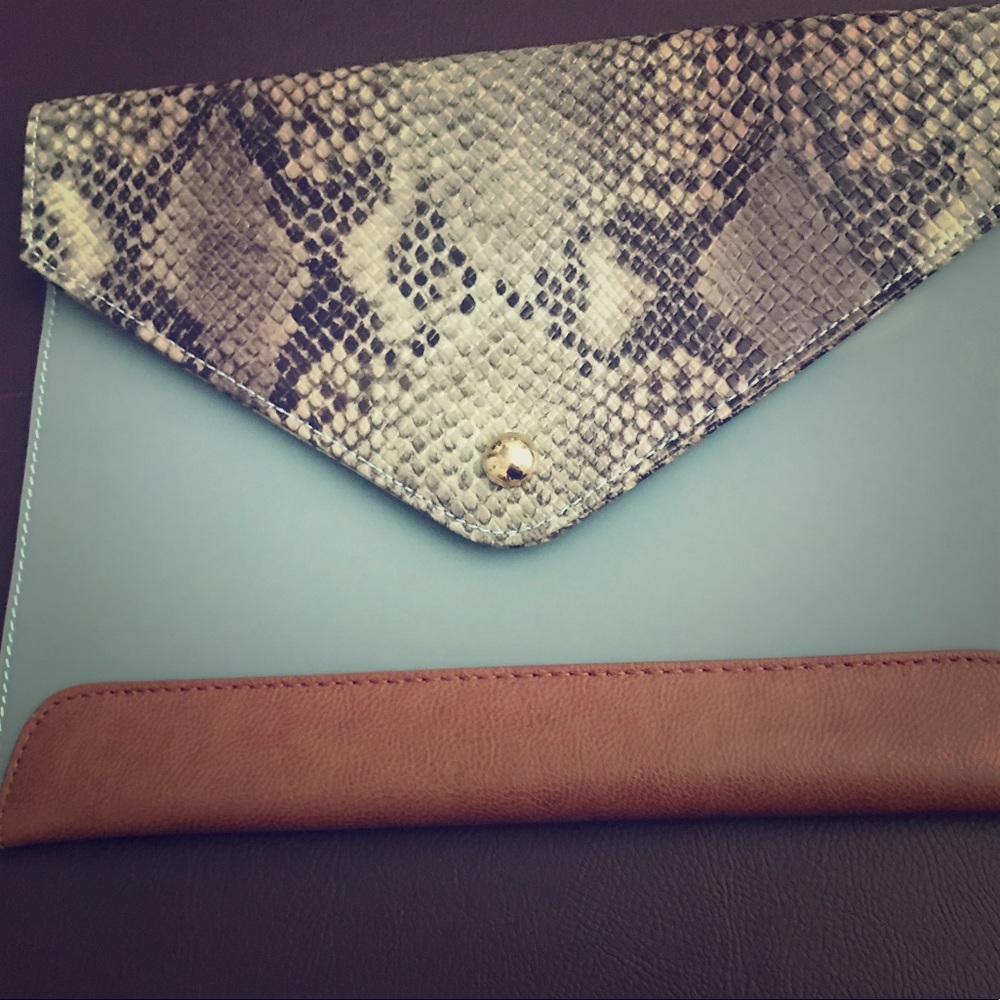 Danielle Nicole Snake Clutch